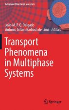 Transport Phenomena in Multiphase Systems