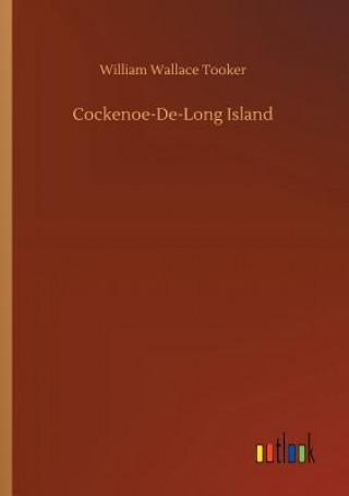 Cockenoe-De-Long Island