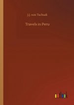 Travels in Peru
