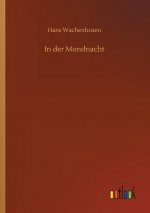 In der Mondnacht