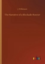 Narrative of a Blockade-Runner