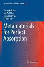 Metamaterials for Perfect Absorption