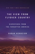 View from Flyover Country