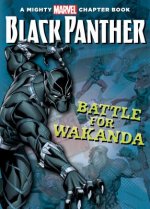 Black Panther: The Battle for