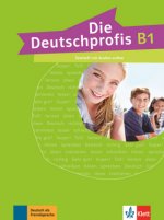 Die Deutschprofis