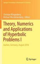 Theory, Numerics and Applications of Hyperbolic Problems I