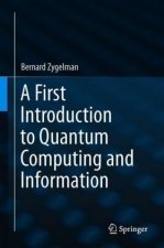 First Introduction to Quantum Computing and Information