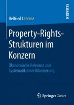 Property-Rights-Strukturen Im Konzern