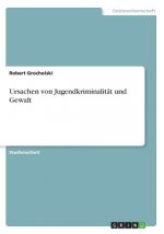 Ursachen von Jugendkriminalität und Gewalt