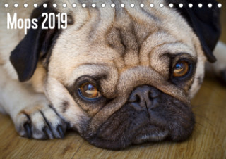 Mops 2019 (Tischkalender 2019 DIN A5 quer)