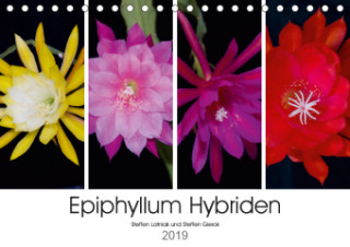 Epiphyllum-Hybriden (Tischkalender 2019 DIN A5 quer)