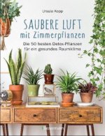 Saubere Luft mit Zimmerpflanzen