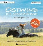 Ostwind. Die große Box