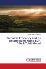 Technical Efficiency and its Determinants Using SDF, DEA & Tobit Model