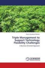Triple Management to Support Technology Flexibility Challenges