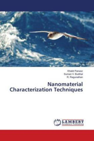 Nanomaterial Characterization Techniques