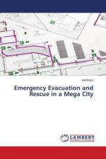 Emergency Evacuation and Rescue in a Mega City