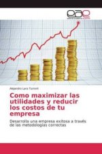 Como maximizar las utilidades y reducir los costos de tu empresa