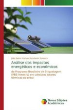 Analise dos impactos energeticos e economicos