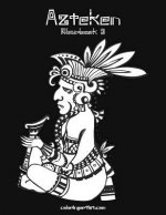 Azteken Kleurboek 3