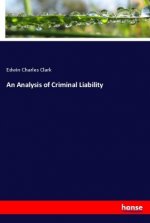 An Analysis of Criminal Liability