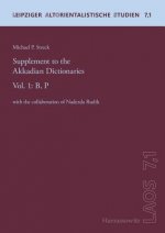 Supplement to the Akkadian Dictionaries