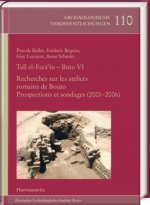 Tell el-Fara'În - Buto VI: Recherches sur les ateliers romains de Bouto