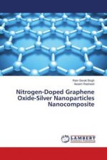 Nitrogen-Doped Graphene Oxide-Silver Nanoparticles Nanocomposite