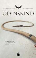 Die Rabenringe - Odinskind