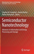 Semiconductor Nanotechnology