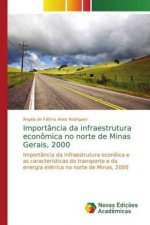 Importância da infraestrutura econômica no norte de Minas Gerais, 2000
