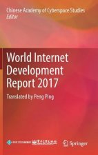 World Internet Development Report 2017