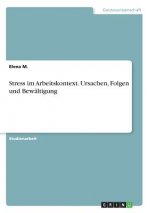 Stress im Arbeitskontext. Ursachen, Folgen und Bewältigung