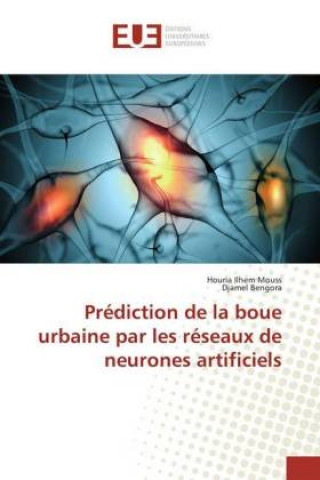 Prédiction de la boue urbaine par les réseaux de neurones artificiels