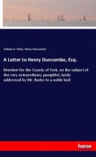 A Letter to Henry Duncombe, Esq.