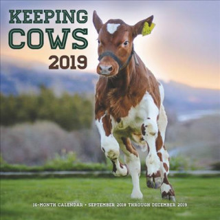 Keeping Cows 2019