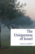 Uniqueness of Israel