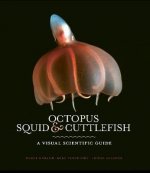 Octopus, Squid & Cuttlefish