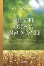Mi Padre Os Dara En Mi Nombre