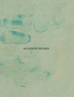 Ellen Gallagher: Accidental Records