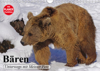 Bären. Unterwegs mit Meister Petz (Wandkalender 2019 DIN A4 quer)