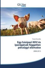 Egy husipari KKV es iparaganak fuggetlen penzugyi elemzese