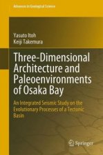 Three-Dimensional Architecture and Paleoenvironments of Osaka Bay