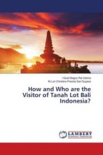 How and Who are the Visitor of Tanah Lot Bali Indonesia?