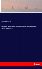 Argument Made Before the Committee on the Condition of Affairs of Arkansas