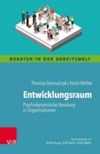 Entwicklungsraum