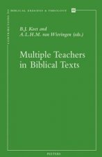 Multiple Teachers in Biblical Texts
