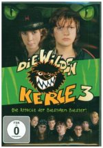 Die wilden Kerle 3 - Der Film, 1 DVD