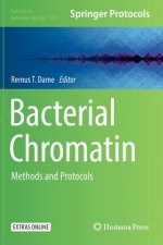Bacterial Chromatin