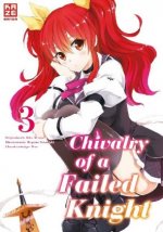 Chivalry of a Failed Knight 03